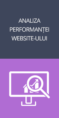 Analiza traficului si a performantei website-urilor